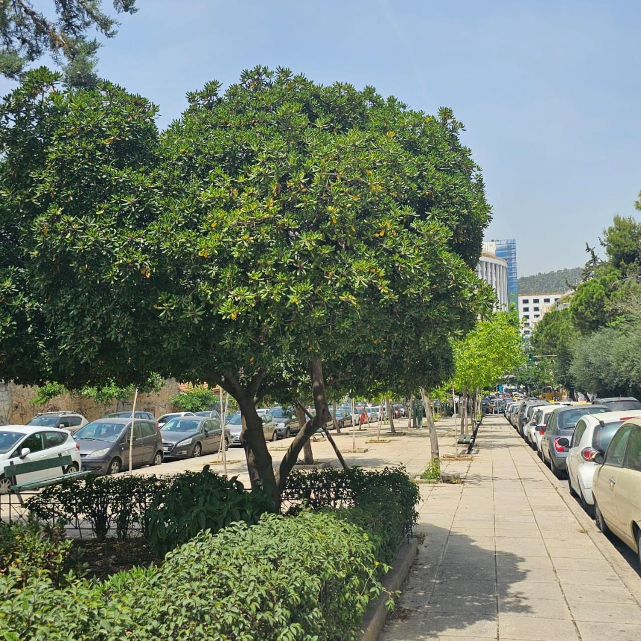 Diocharous Garden Apartment Atena Exterior foto